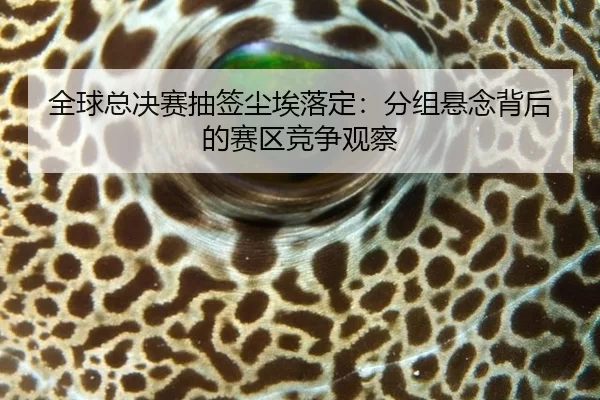 quan-qiu-zong-jue-sai-chou-qian-chen-ai-luo-ding-fen-zu-xuan-nian-bei-hou-de-sai-qu-jing-zheng-guan-cha-2-979.jpg